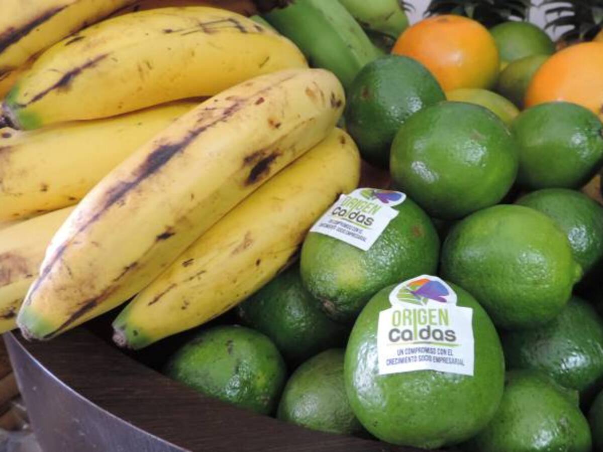 Caldas incrementa la exportación de productos