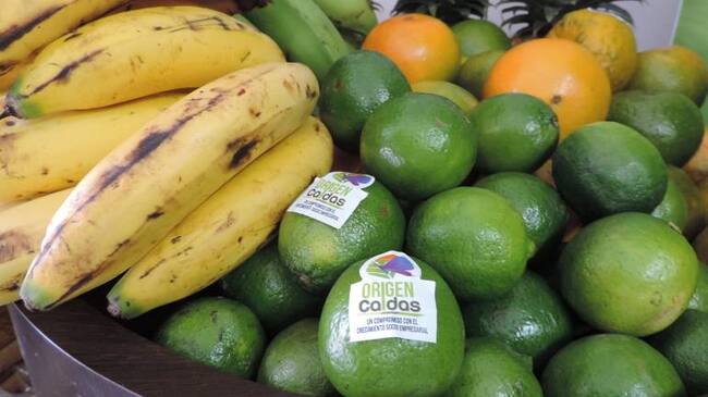 Aumentan las exportaciones de Caldas
