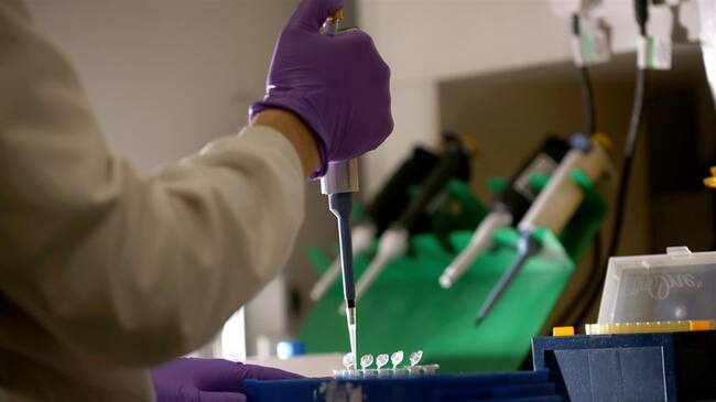 Los medicamentos biotecnológicos, tienen como base materia biológica y no química/ Imagen de referencia. Foto: Getty Images