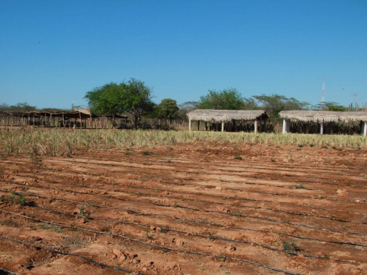 Condena fiscal de $2.906 millones por distrito de riego