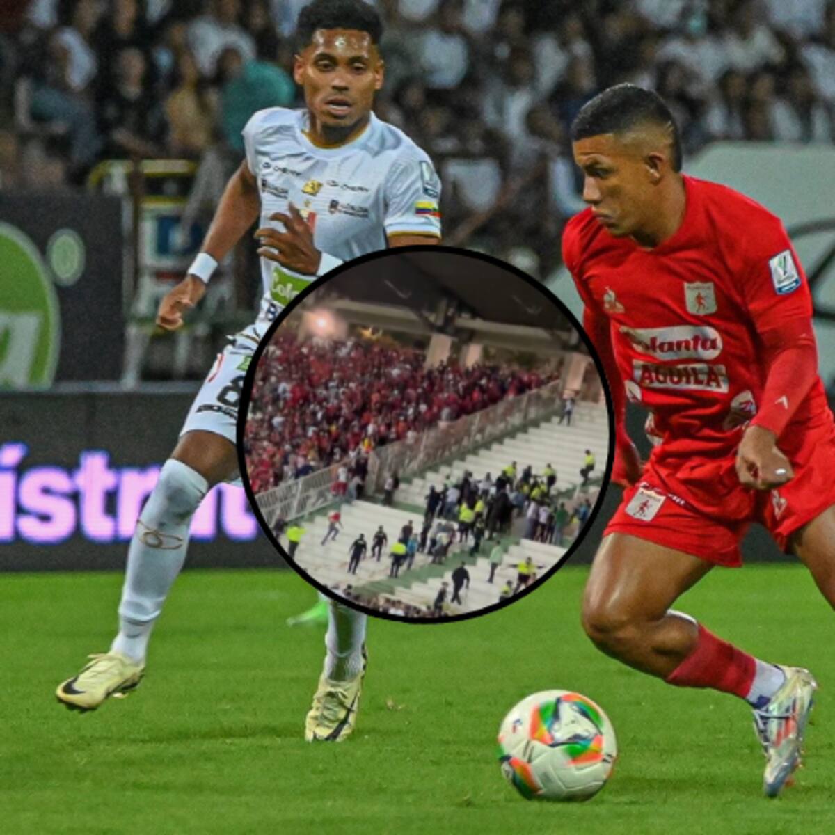 Hinchas del América causaron desmanes en el Palogrande: así se vivió el momento de tensión