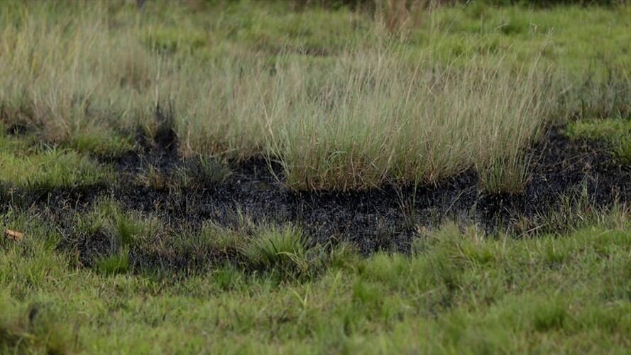 La Anla investigará la emergencia ambiental en el Parque Natural Serranía Las Quinchas por derrame de crudo. Foto: Colprensa