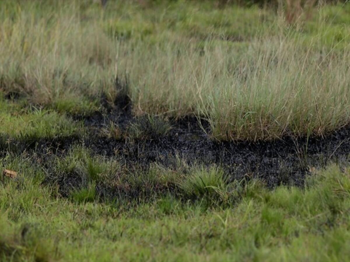 Restringen por un mes turismo al Parque las Quinchas en Boyacá por emergencia ambiental