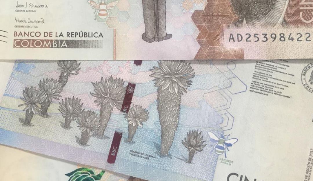 Visualizando una de las riquezas colombianas, La Fauna