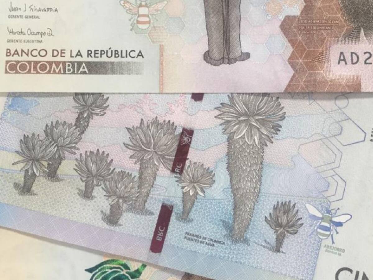 Ampliaron el plazo para que losestratos 4,5 y 6 paguen el predial