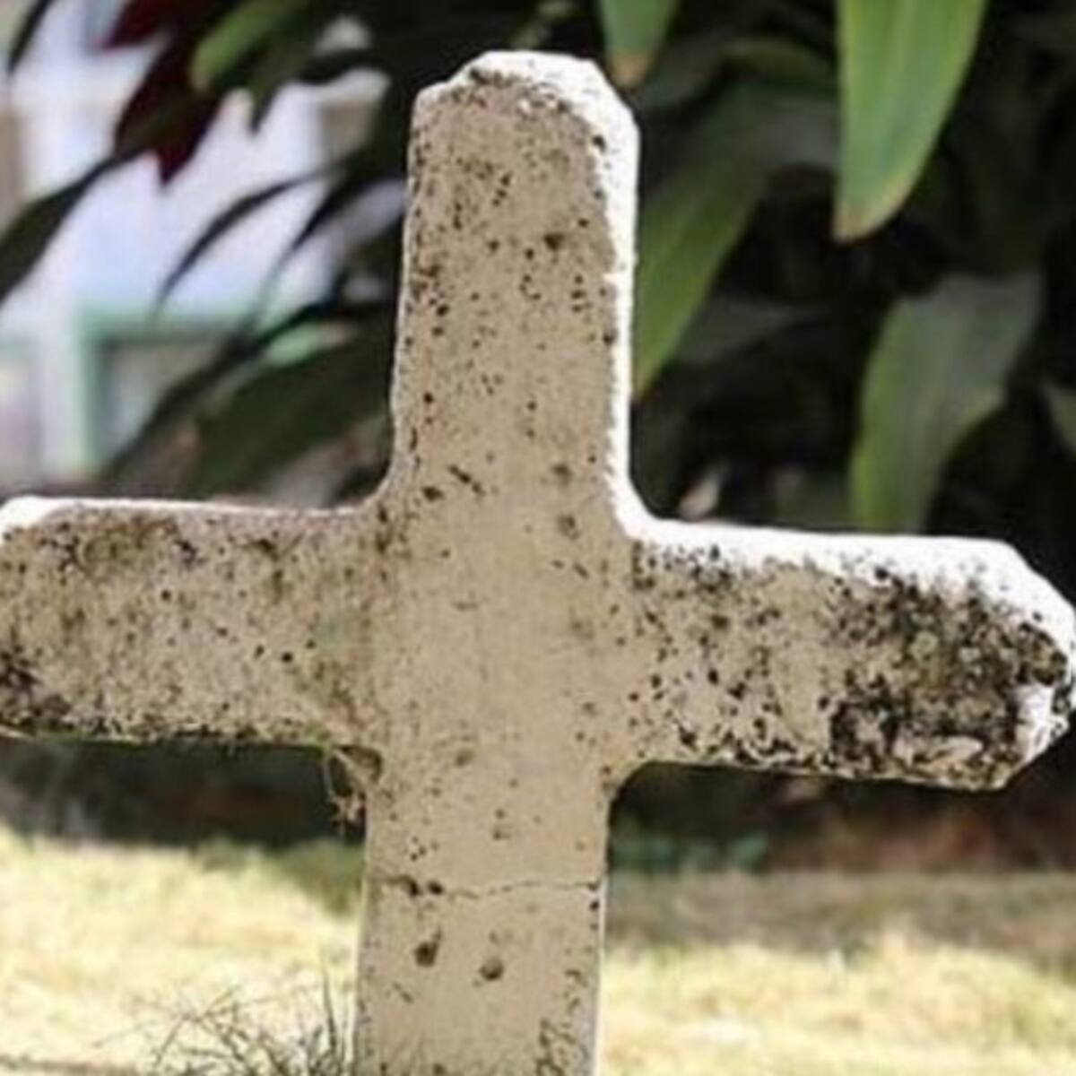 Cementerios de Bogotá tienen deudas de casi 4 mil millones de pesos