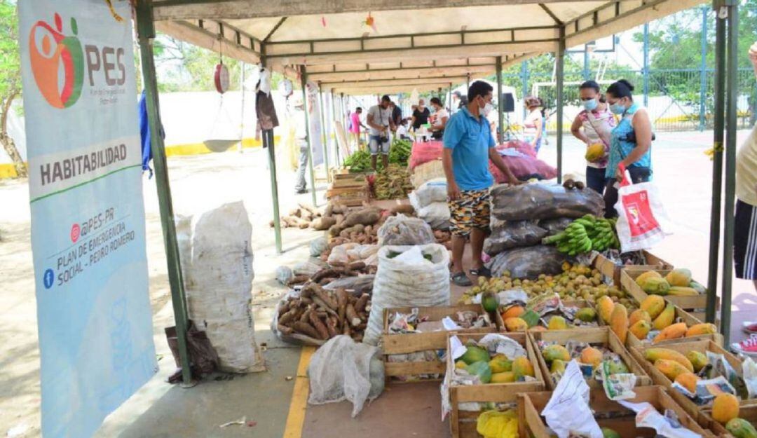 Campesinos del Distrito y de los Montes de María venderán una gran variedad de productos sin intermediarios