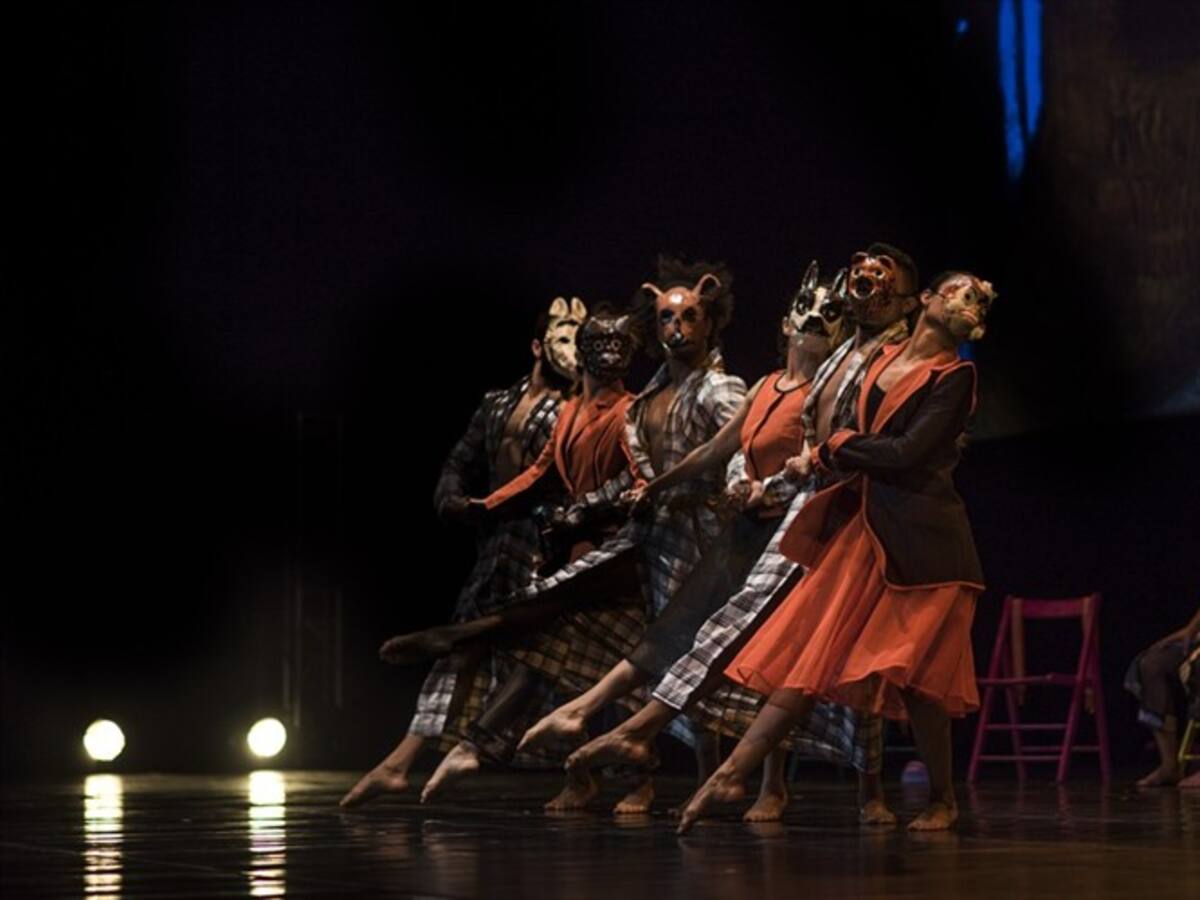 Colegio Cuerpo de Cartagena: nominado por segunda vez al premio Princesa de Asturias