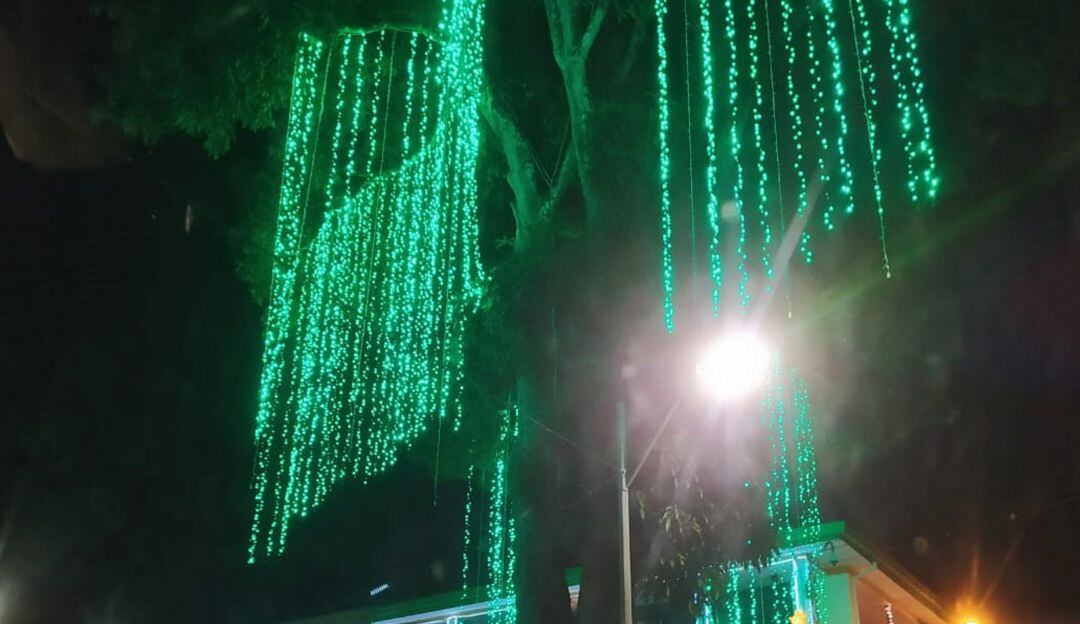Alumbrado navideño en Montenegro 