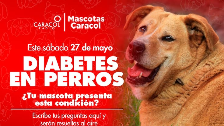 Ultima emisión de Mascotas Caracol