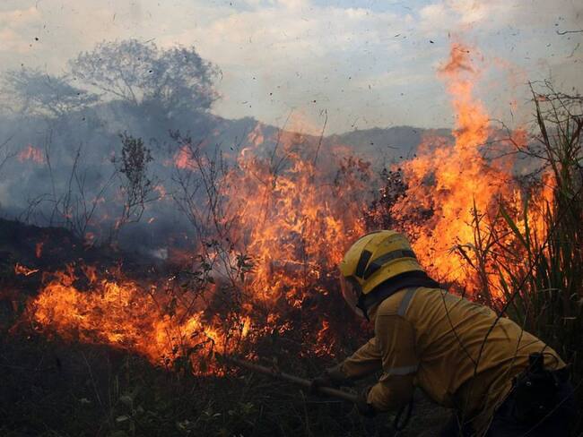 Más de 450 hectáreas afectadas por incendios forestales