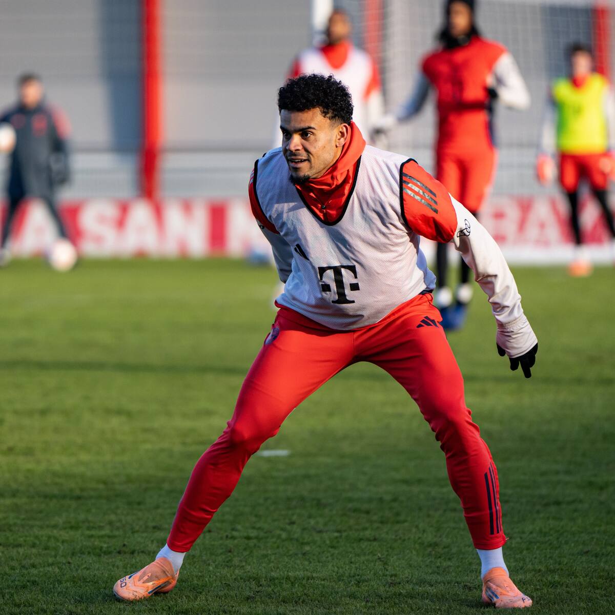 Luis Díaz regresó a los entrenamientos con el Bayern Múnich: ¿Cuándo volverá a jugar?