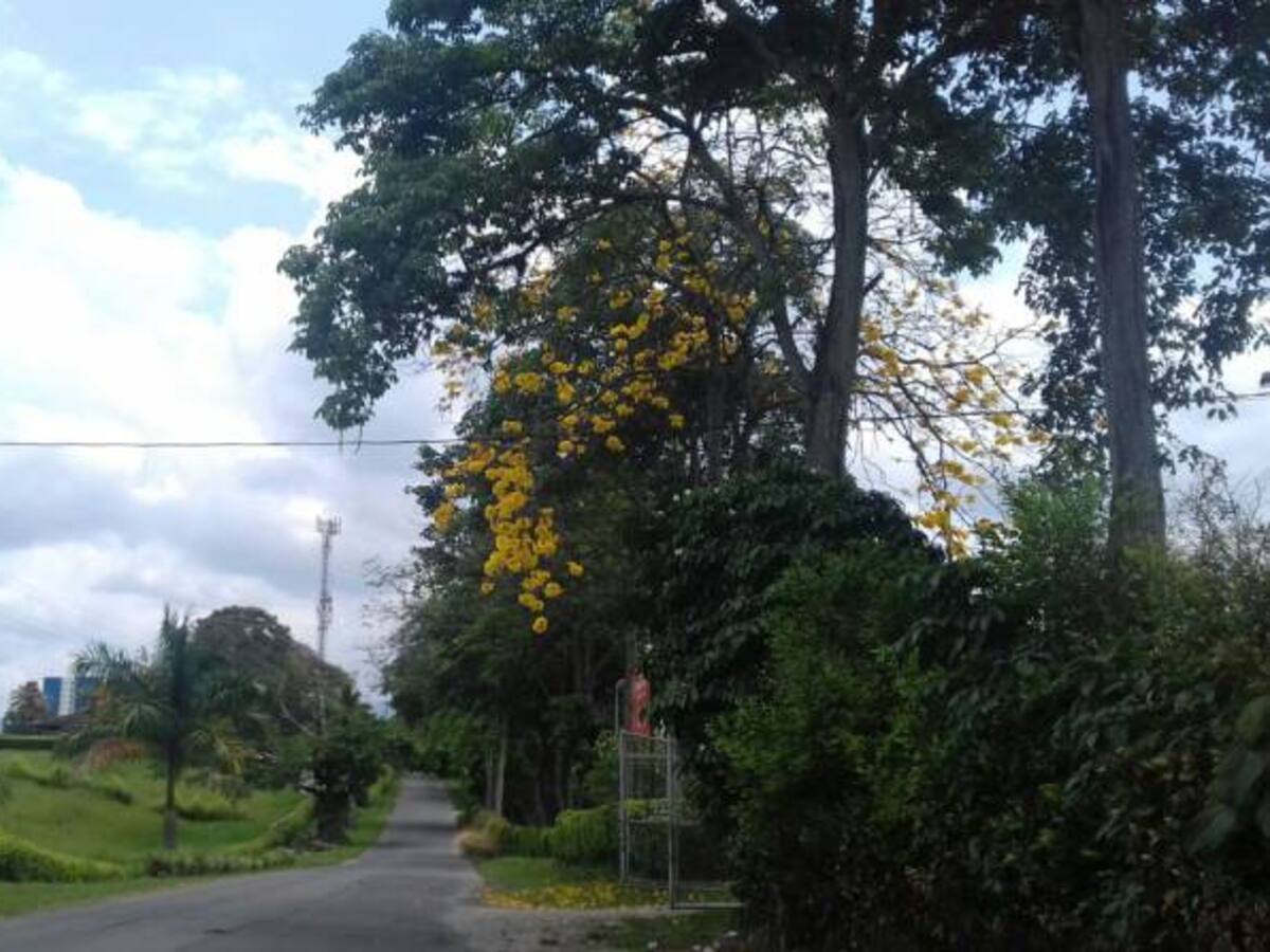 Viernes 16 de marzo, las noticias más importantes de Armenia y Quindío