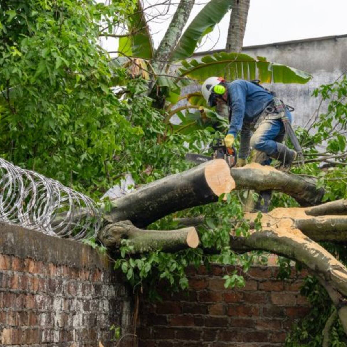 Más de 10 familias afectadas por tormentas eléctricas en Barrancabermeja