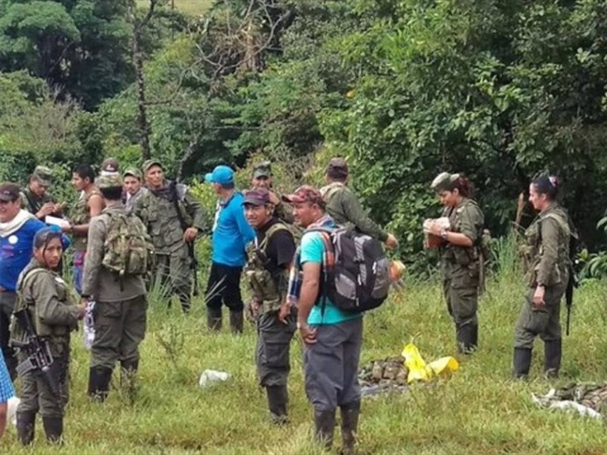 55% de exguerrilleros de las Farc ya no están en espacios de reincorporación
