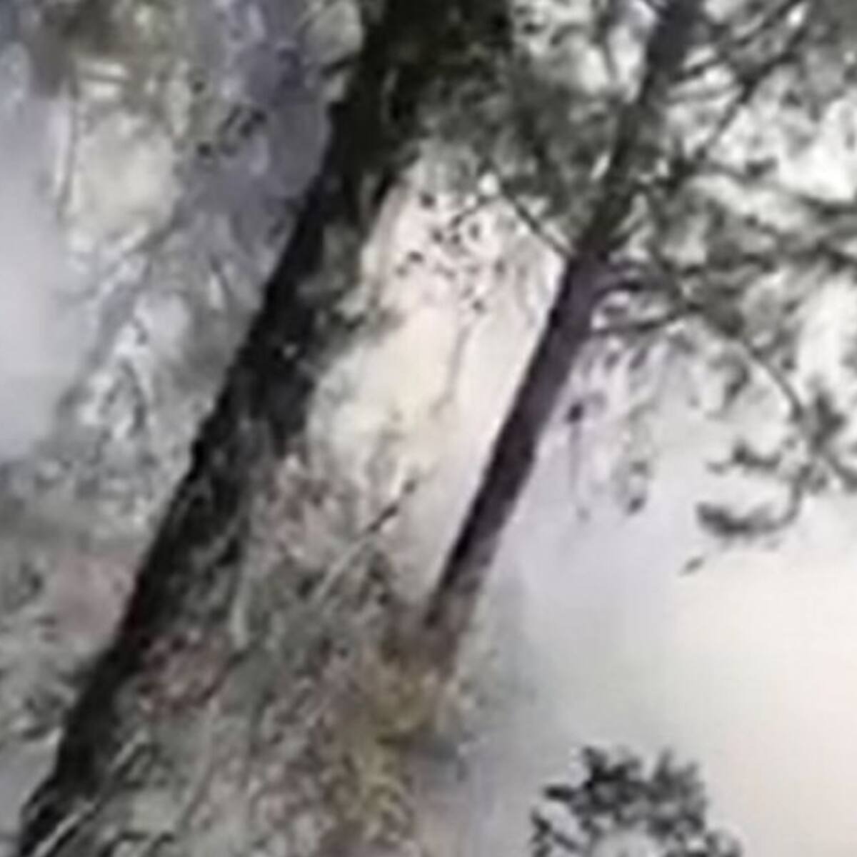 VIDEO: Voraz incendio consume un bosque en Aratoca