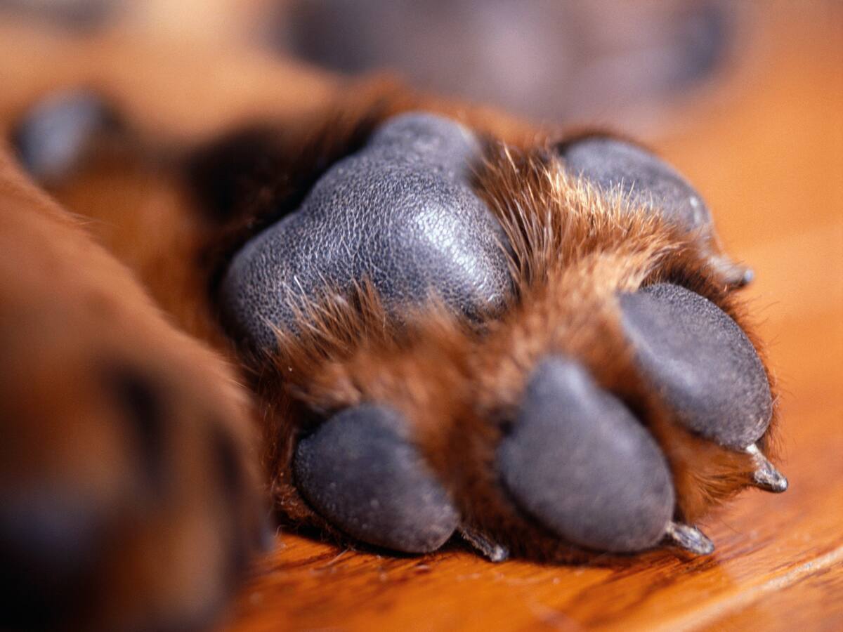 Contenido no disponible