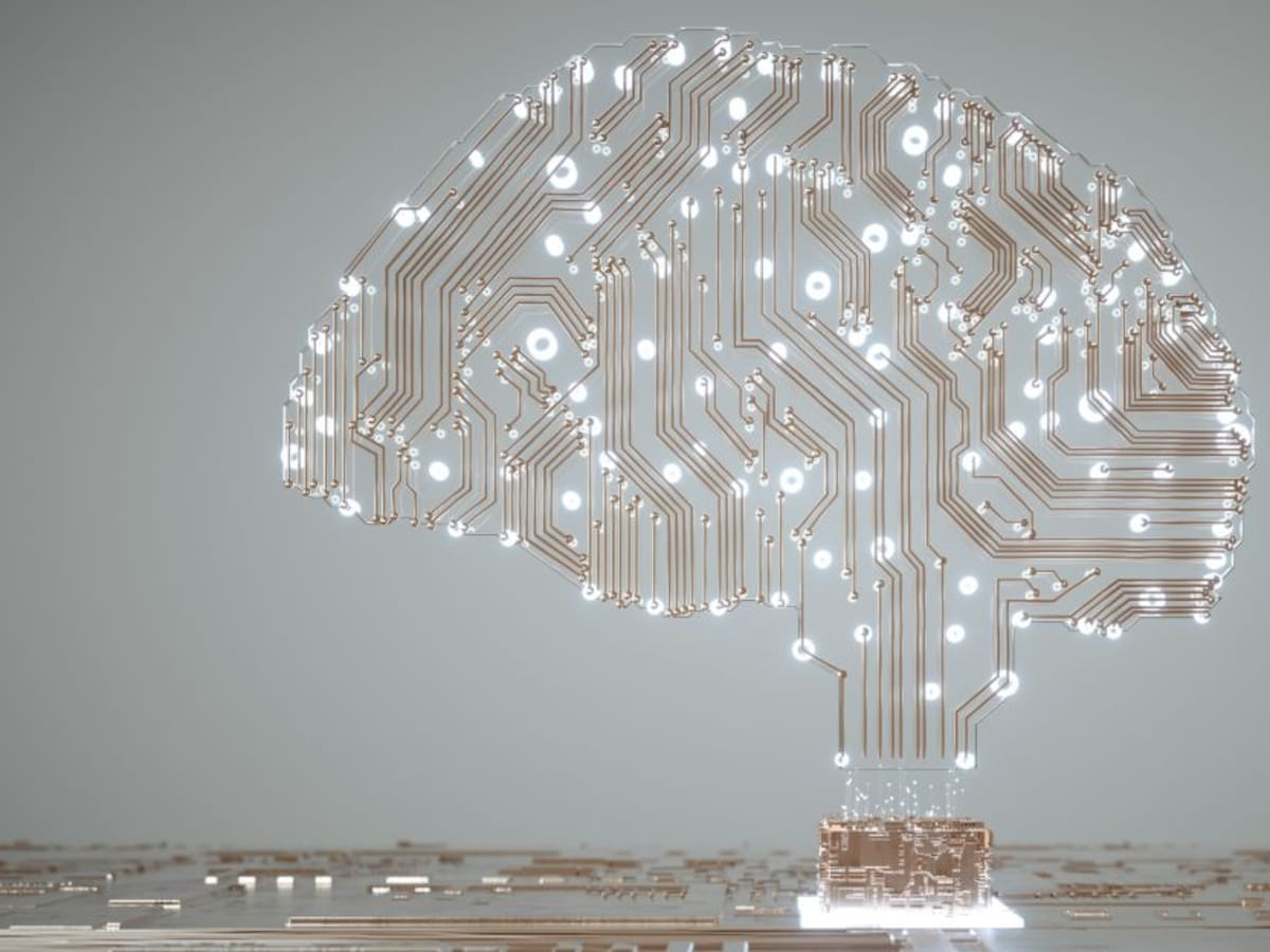 La actividad cerebral revela nuevas claves para entender las decisiones de compra