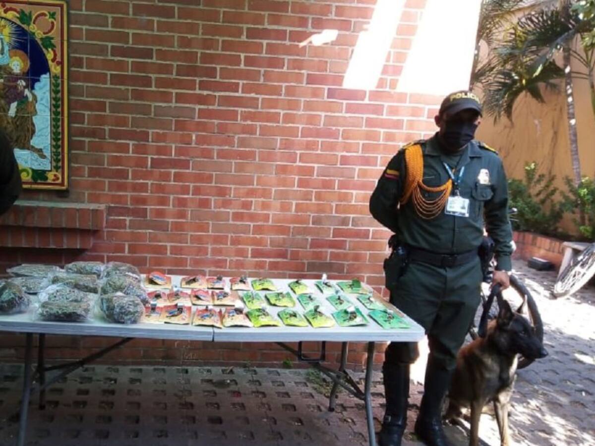 Incautan marihuana transportada por una empresa de envíos en Cartagena