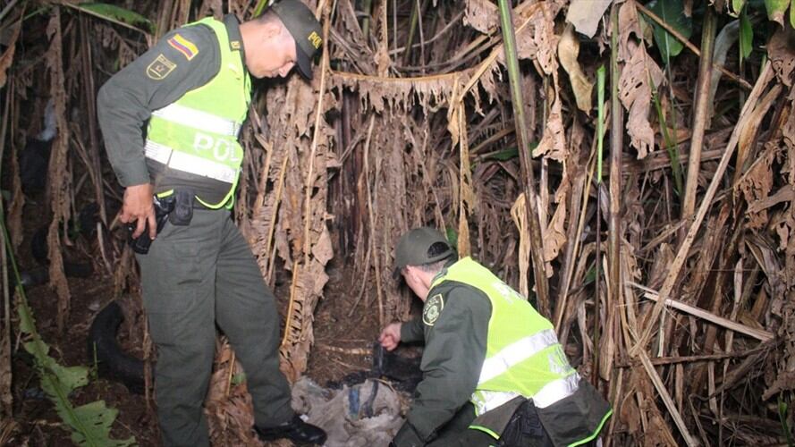 Encuentran bebé recién nacida abandonada en un bosque en Santander. Foto: Policía Nacional
