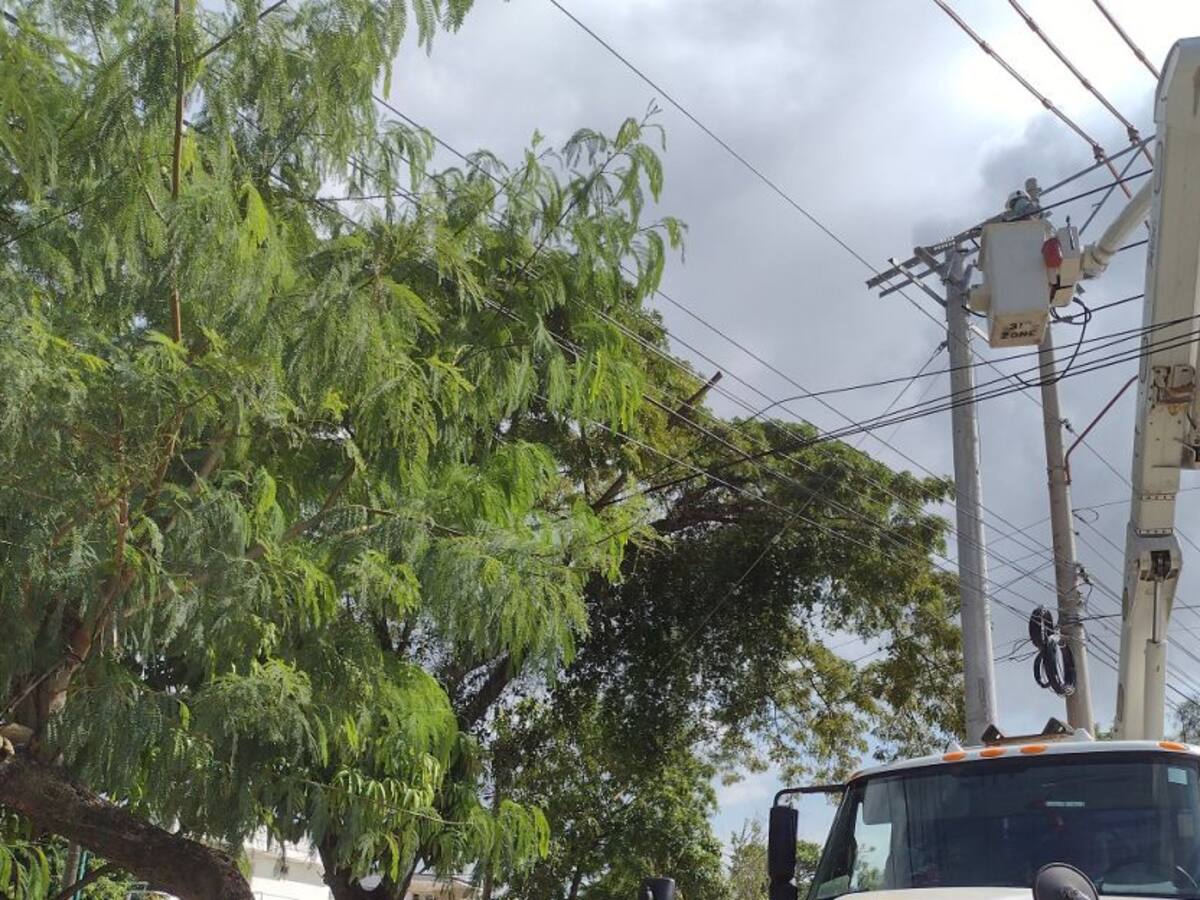Este sábado trabajos de Afinia dejarán sin energía a Barú