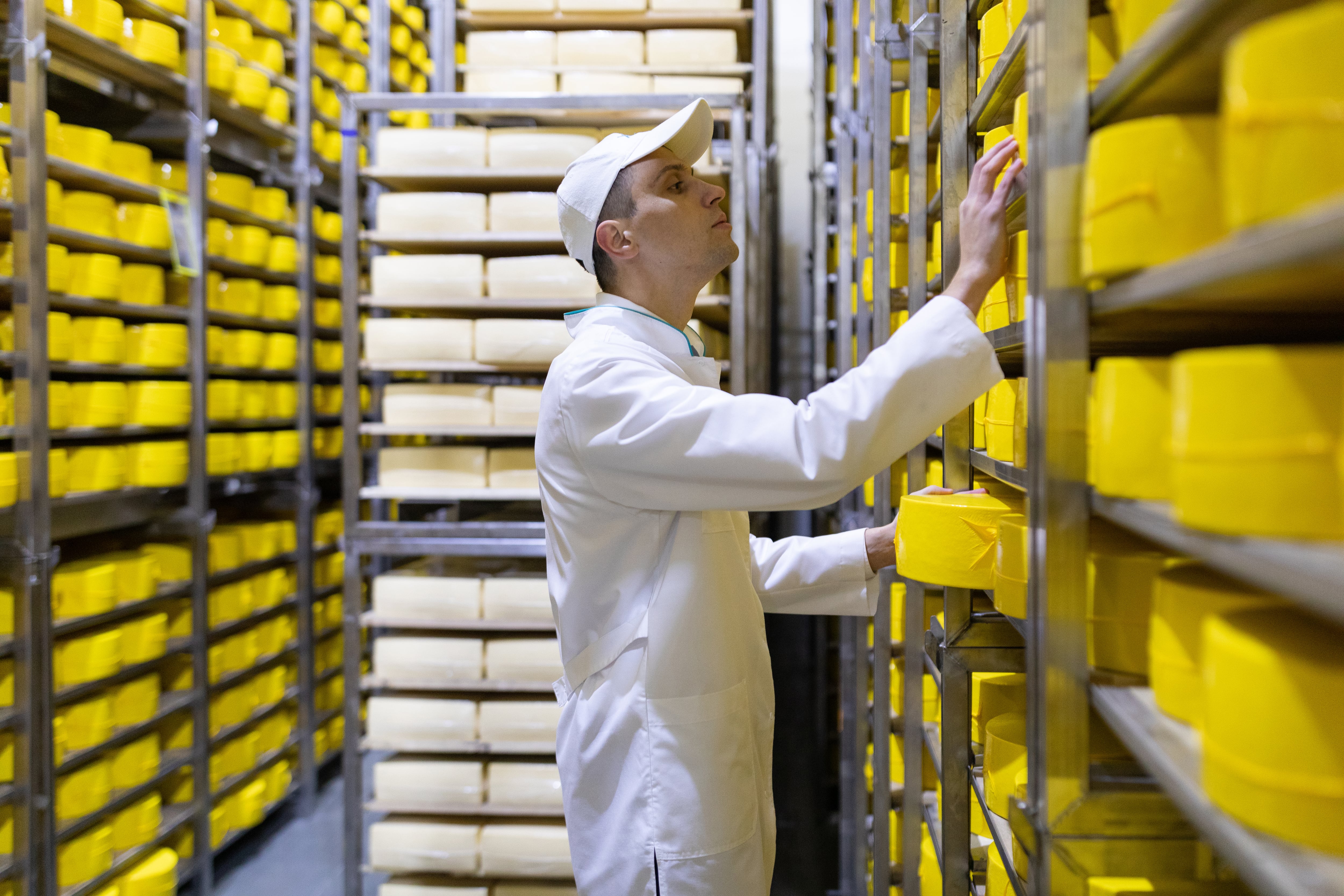 technologist with cheese in his hands make an inspection of ready prooduction at the department of dairy factory