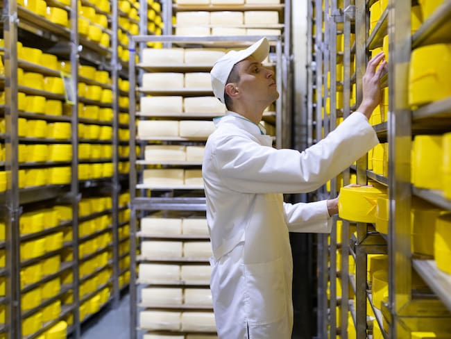 technologist with cheese in his hands make an inspection of ready prooduction at the department of dairy factory