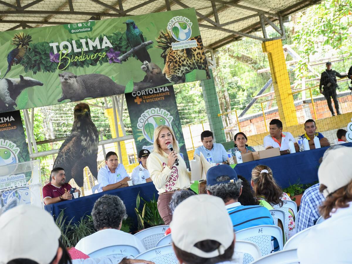 Este es el plan de inversiones de Cortolima en el municipio de Rovira