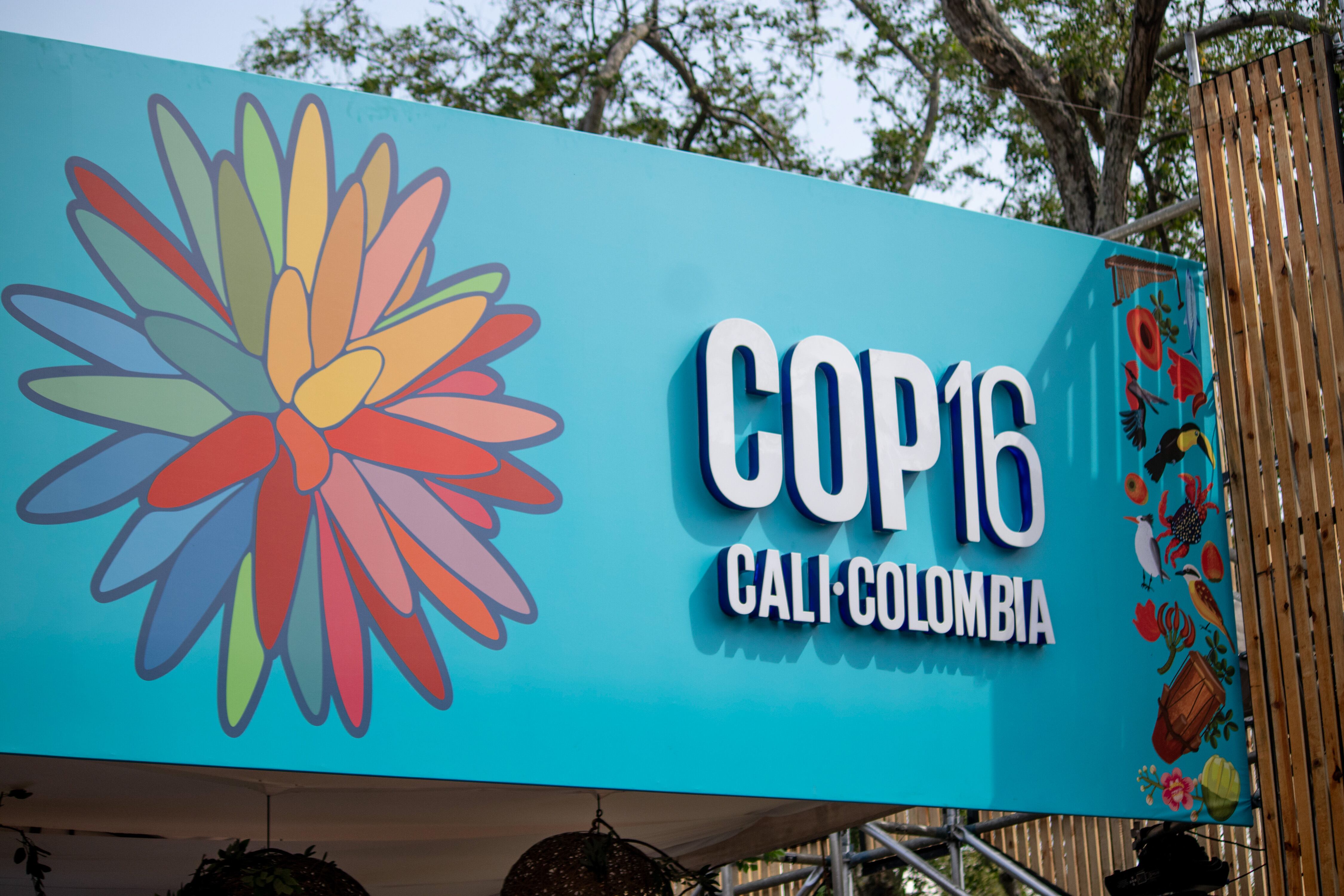 La COP16 en la ciudad de Cali, Colombia. / Getty Images