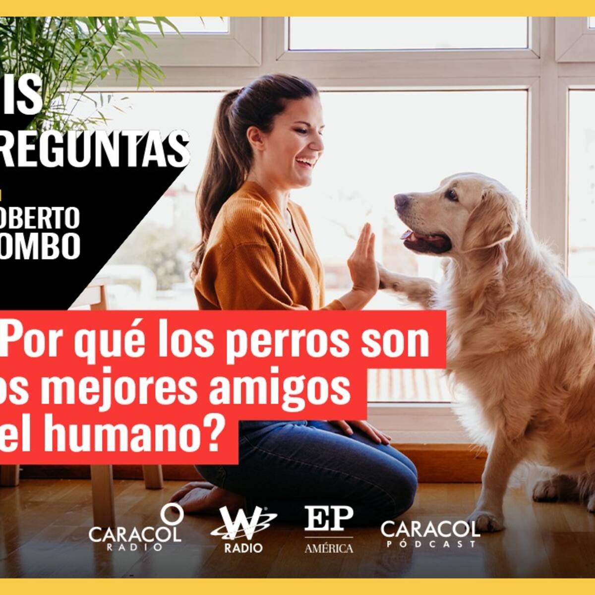 Mis Preguntas: ¿Por qué los perros son los mejores amigos del humano?