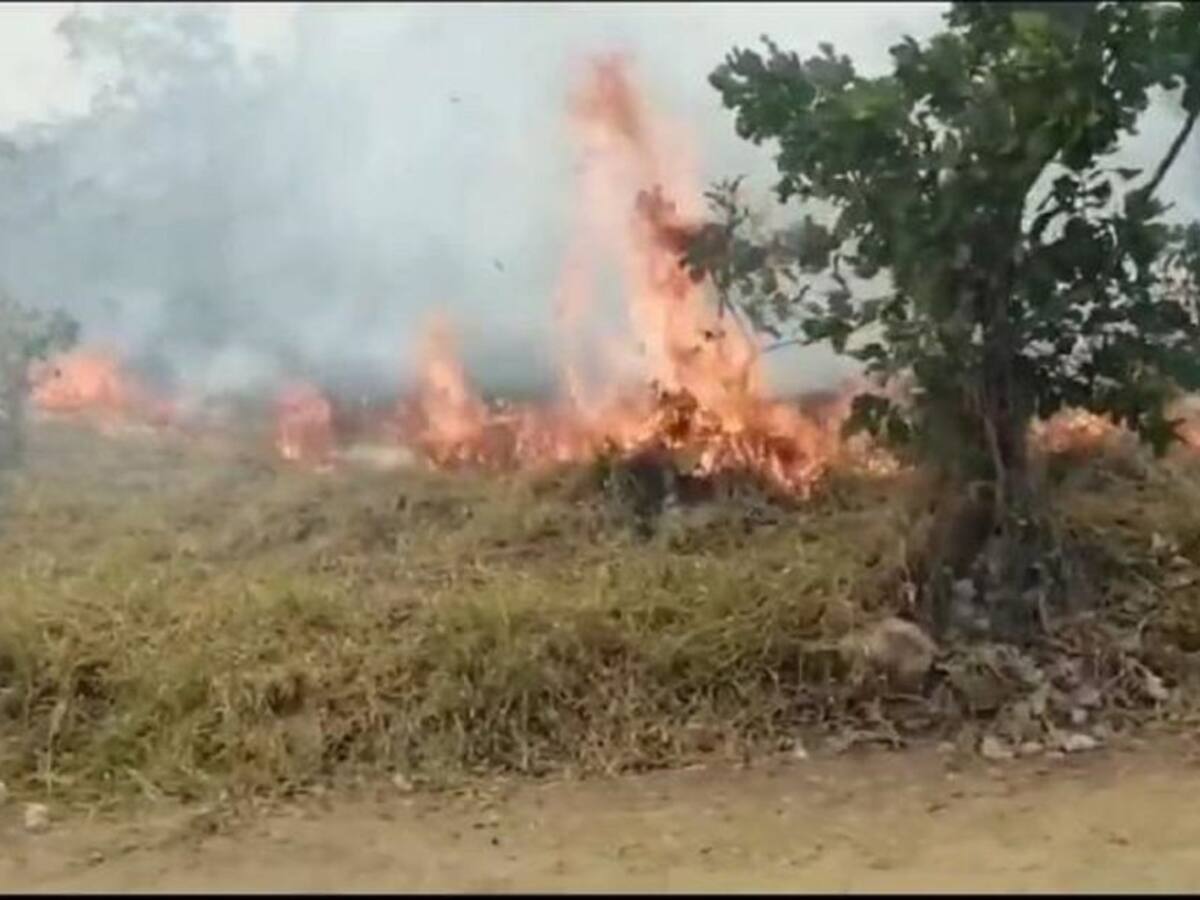 Peligroso incendio sigue activo en el municipio de Palermo
