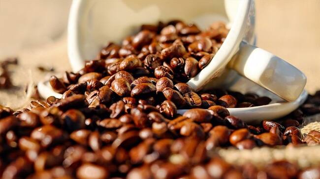 Producción de café en Colombia subió un 25 % en noviembre. Foto: Agencia Reuters
