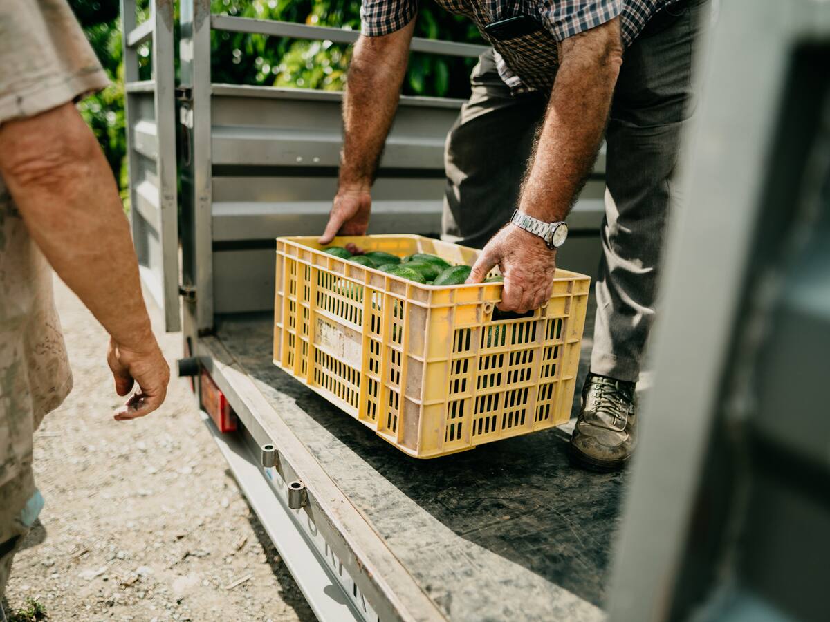 Subsidio a la producción de alimentos: conozca la nueva propuesta de Minagricultura