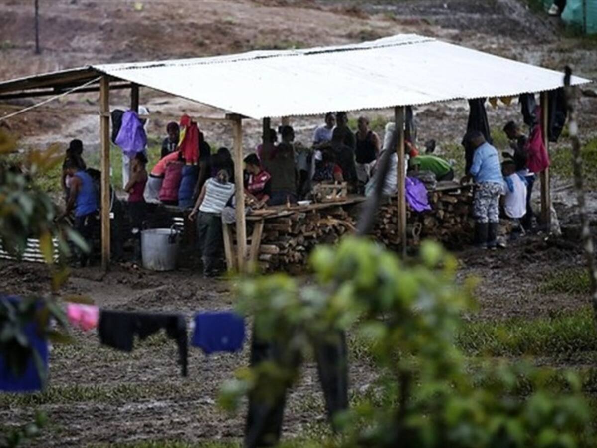 A partir de julio, excombatientes de las Farc deberán conseguir sus propios alimentos