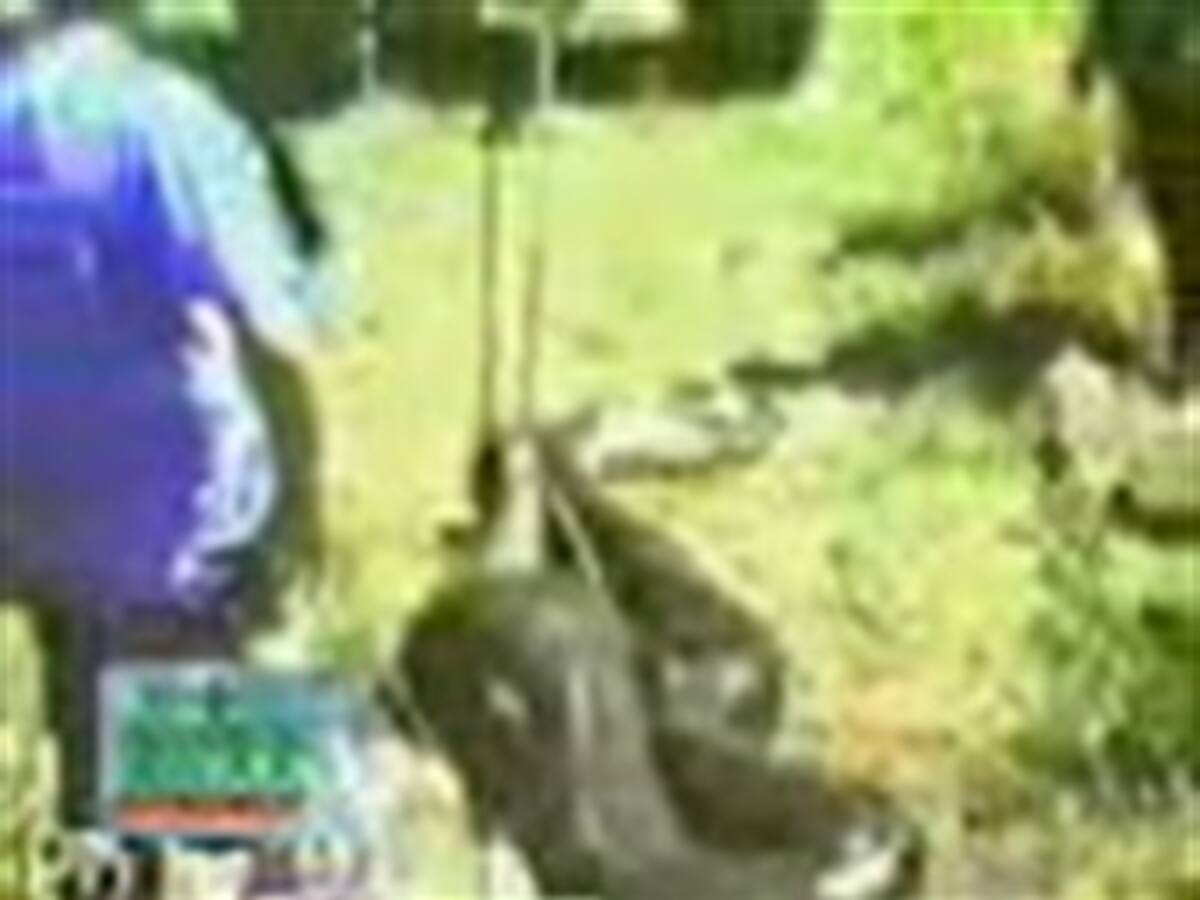 Un hombre muerde a una pitón