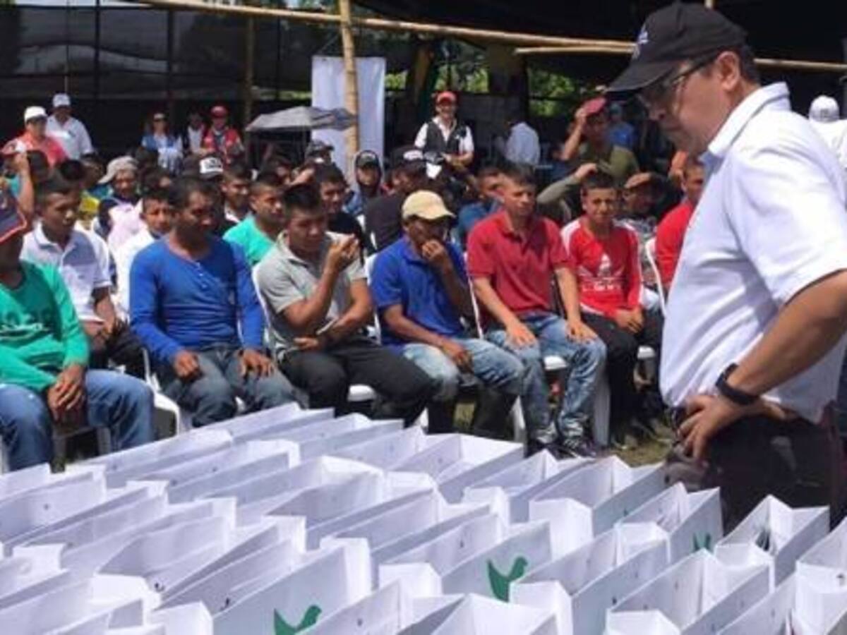 Delincuencia organizada en norte del Cauca, ofrecen dinero a reinsertados