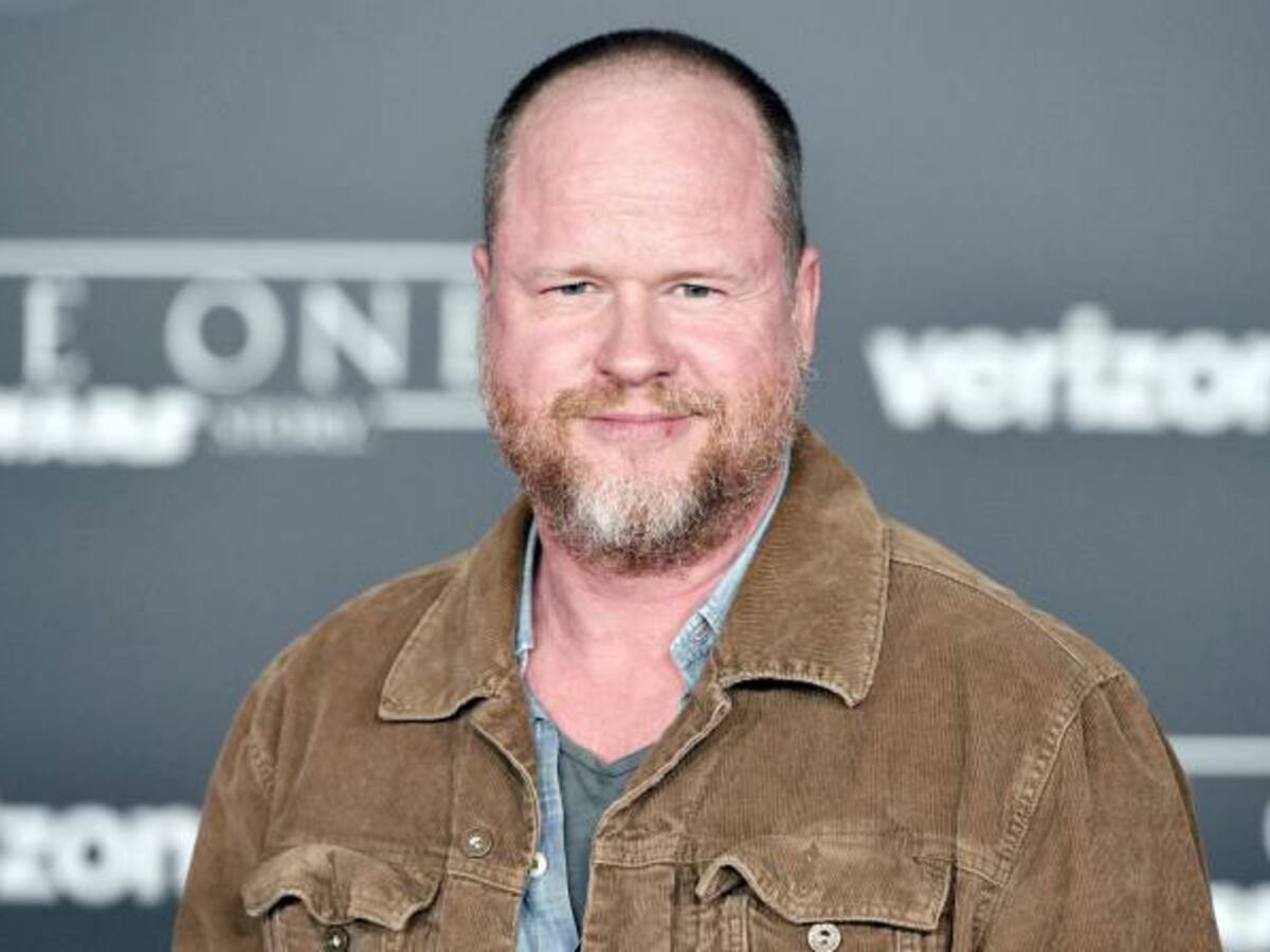 ‘Batgirl’ de Warner Bros se quedó sin director