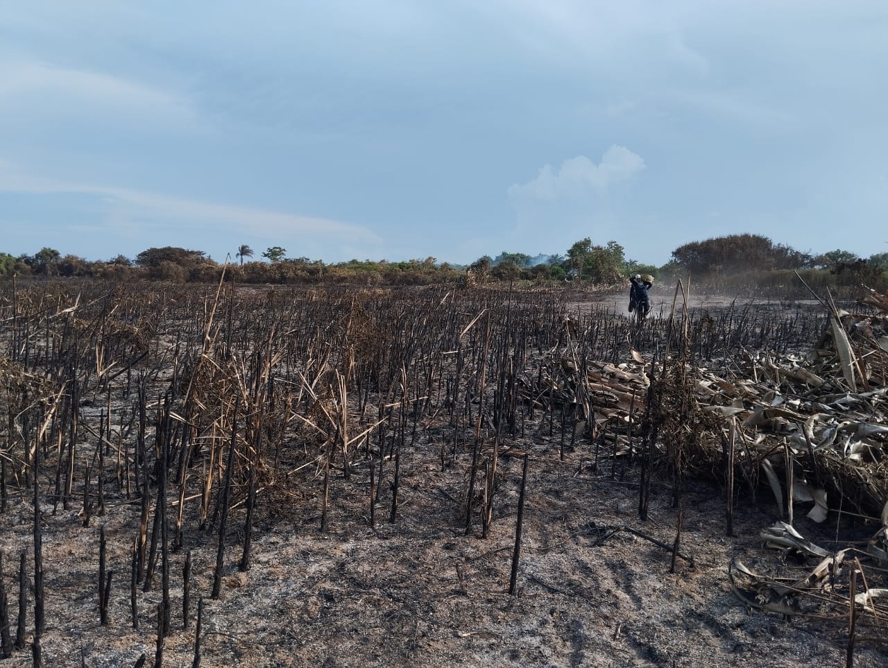 Incendio Isla Salamanca./ Foto: Cortesía
