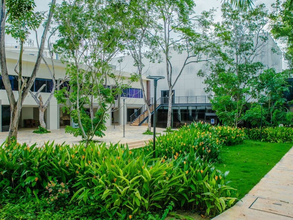 Dos programas de pregrado de la UTB reciben acreditación en Alta Calidad