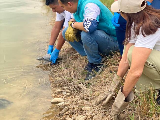 En el Parque Agroecológico Merecure de Villavicencio se realizó la liberación de fauna silvestre