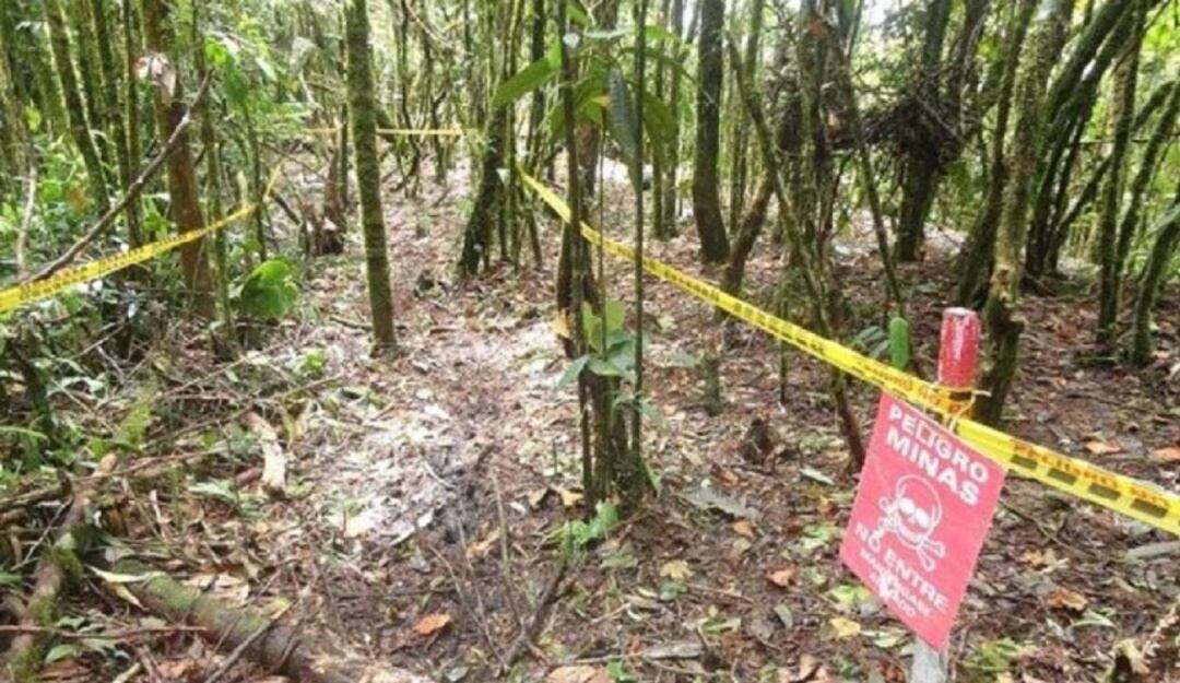 Campos minados en Catatumbo 