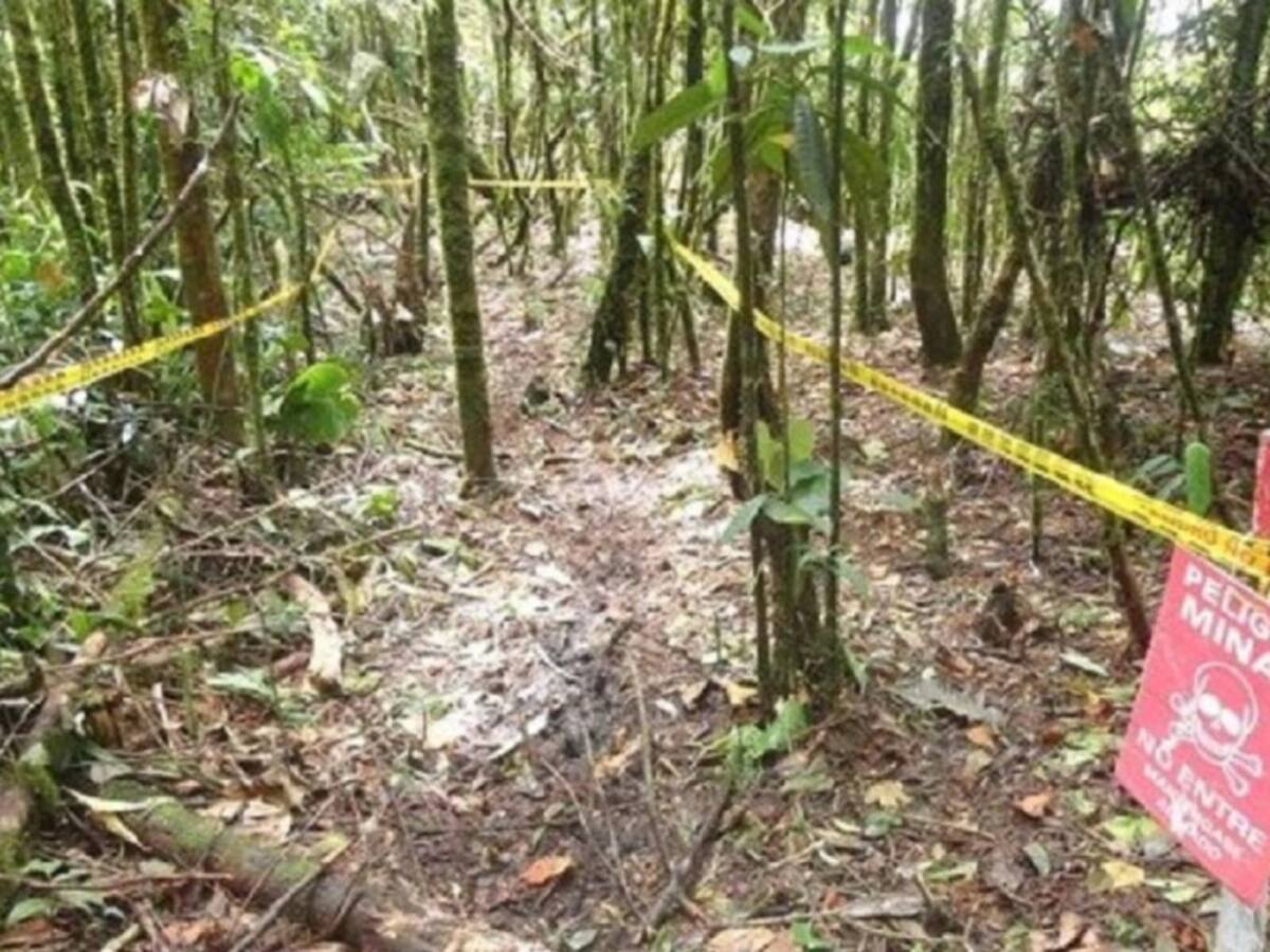 Preocupación campos minados en Catatumbo