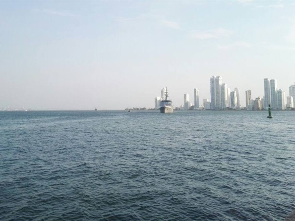 Expedición Antártida, tras el rastro de las ballenas colombianas