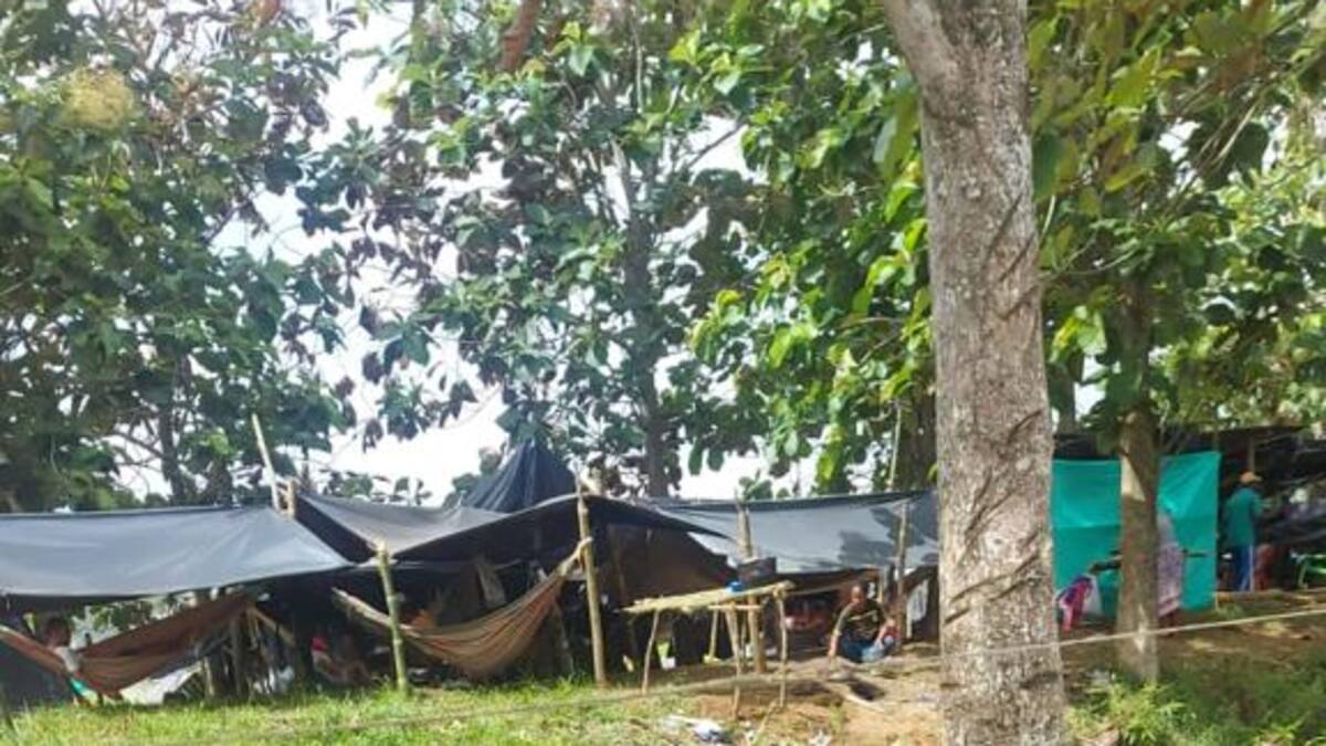 Denuncian nuevas invasiones de tierras en Urabá, Antioquia