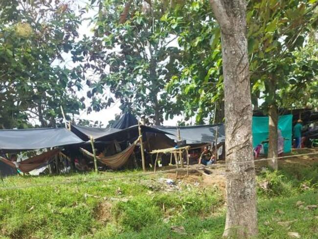 Denuncian nuevas invasiones de tierras en Urabá, Antioquia