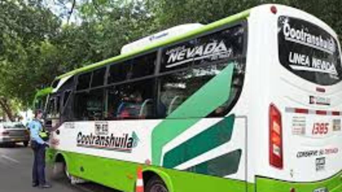 Más de 150 colectivos circulan por vías de Neiva, hoy en día sin carro y sin moto