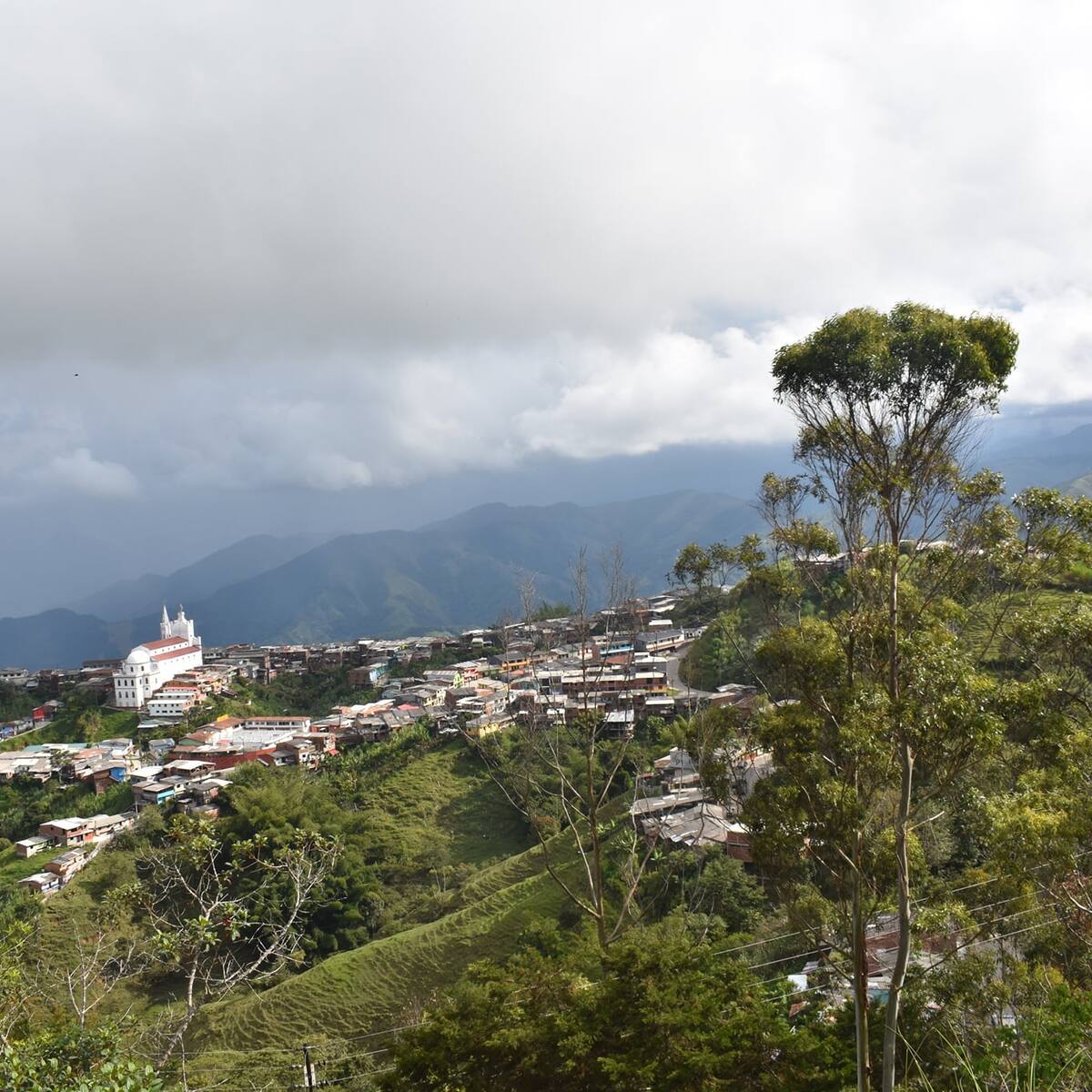 Gobernador visitará Argelia y Nariño por amenazas a la población