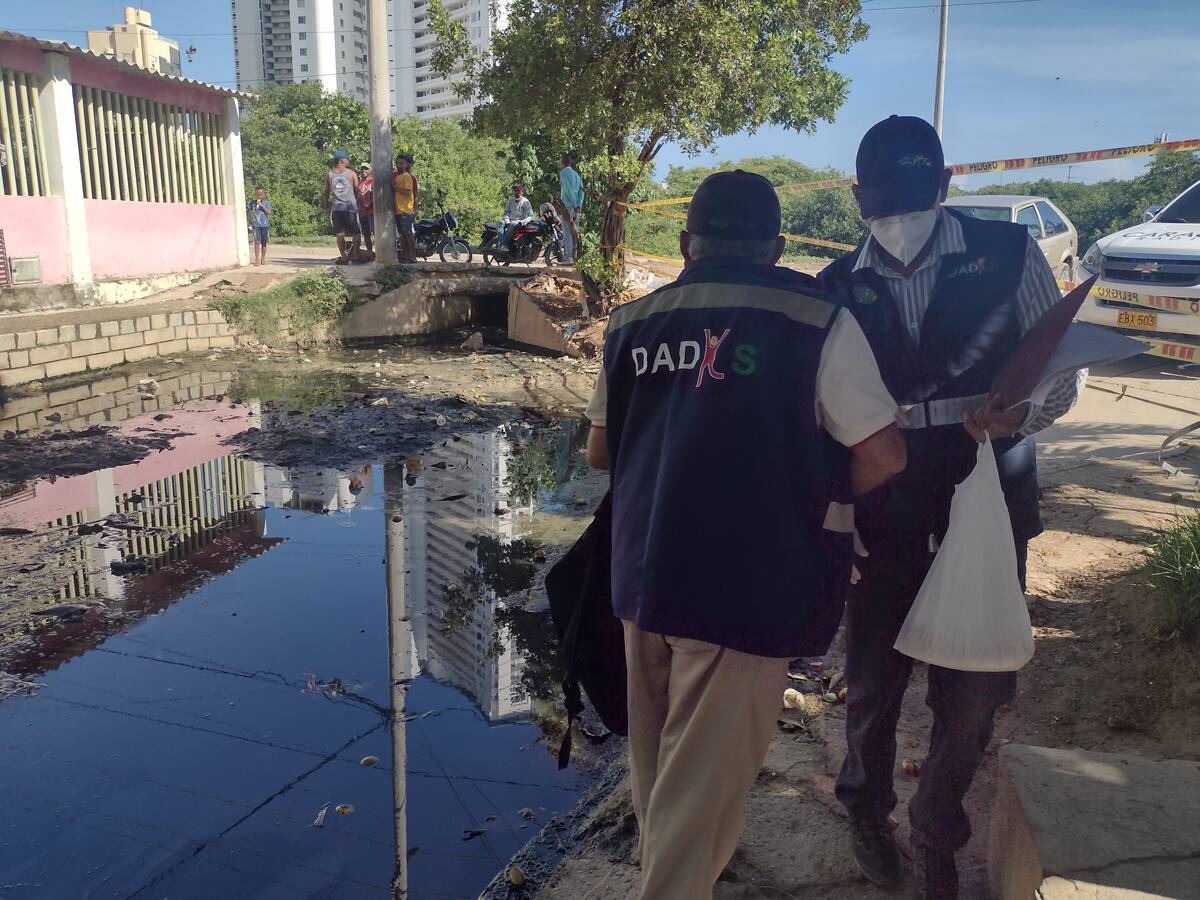Cartagena reúne a expertos internacionales en dengue: cifras de Colombia serían superiores