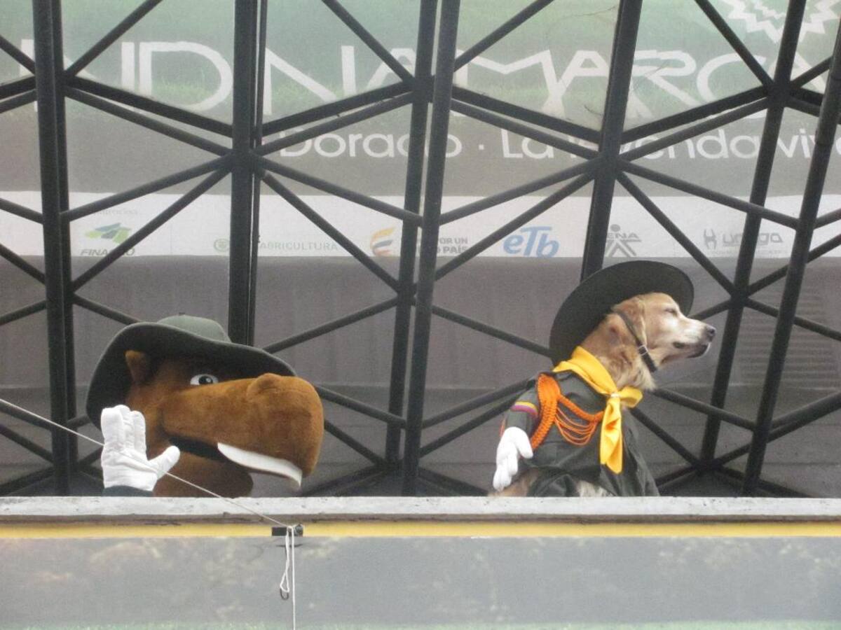 Título de la imagen