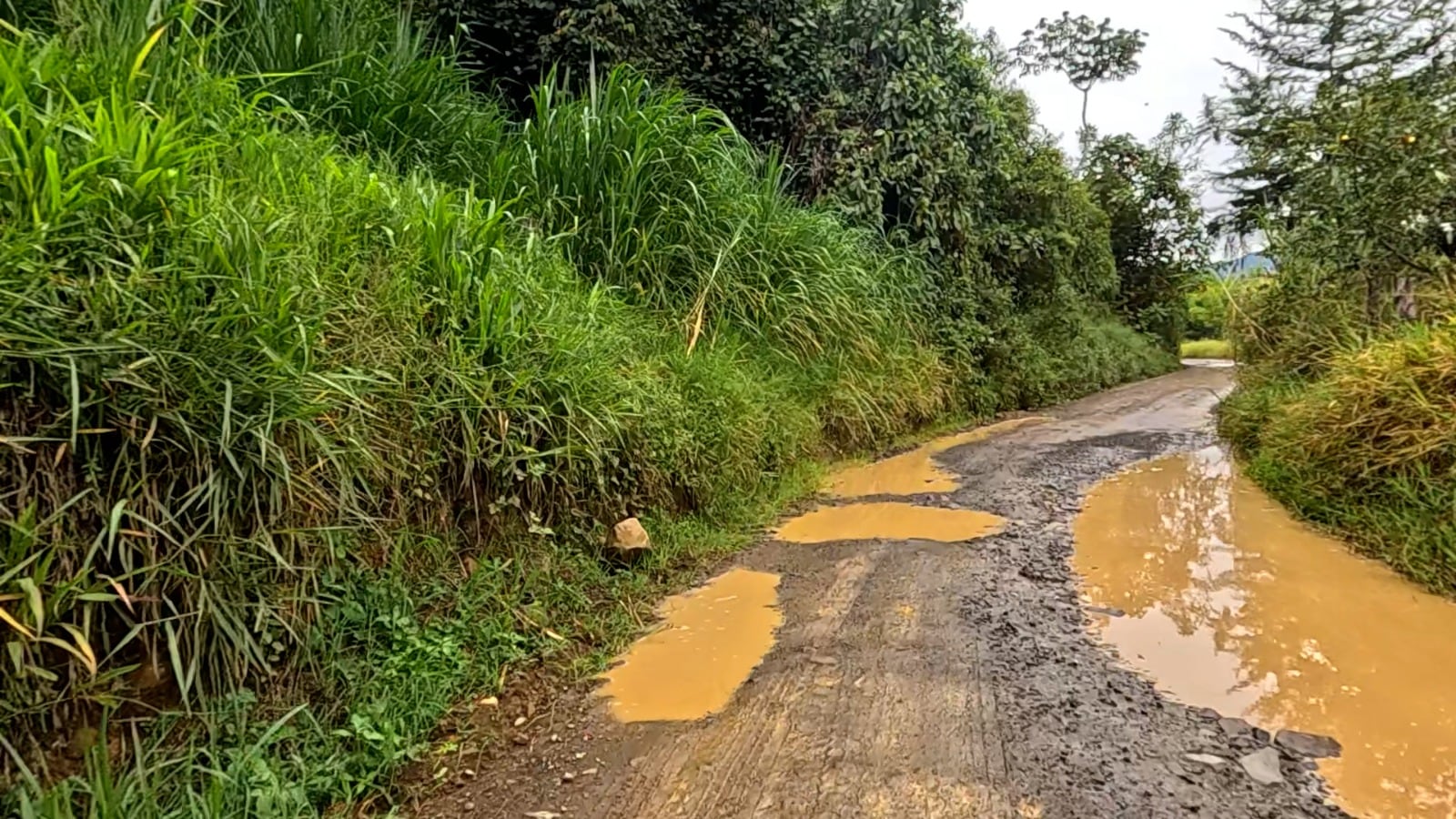 Vía que se construirá por medio de valorización en Antioquia. Cortesía: Gobernación de Antioquia.